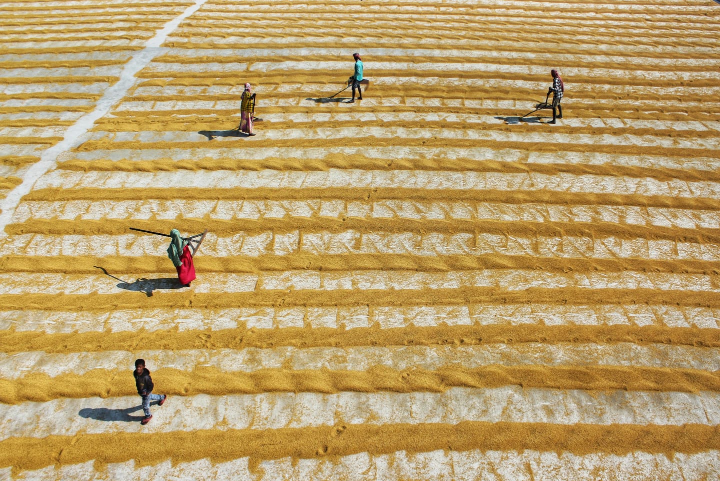 Az AI kontrollálatlan fejlődése évtizednyi fejlődési felzárkózást fordíthat visszájára