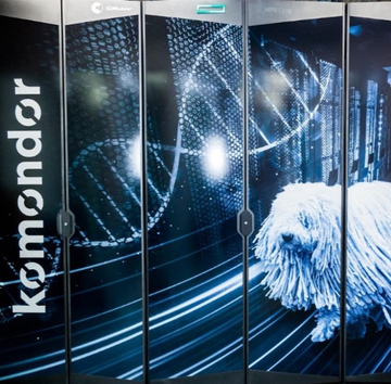 komondor